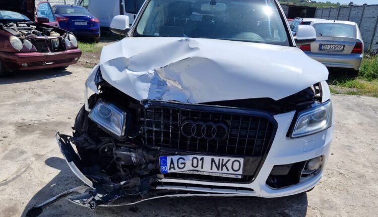 Vileta-Constantin-Audi-Q5-3